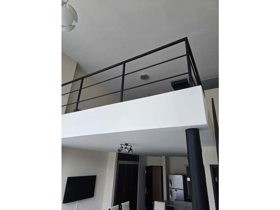 ALQUILER APARTAMENTO TIPO LOFT EN EL CANGREJO — foto 3