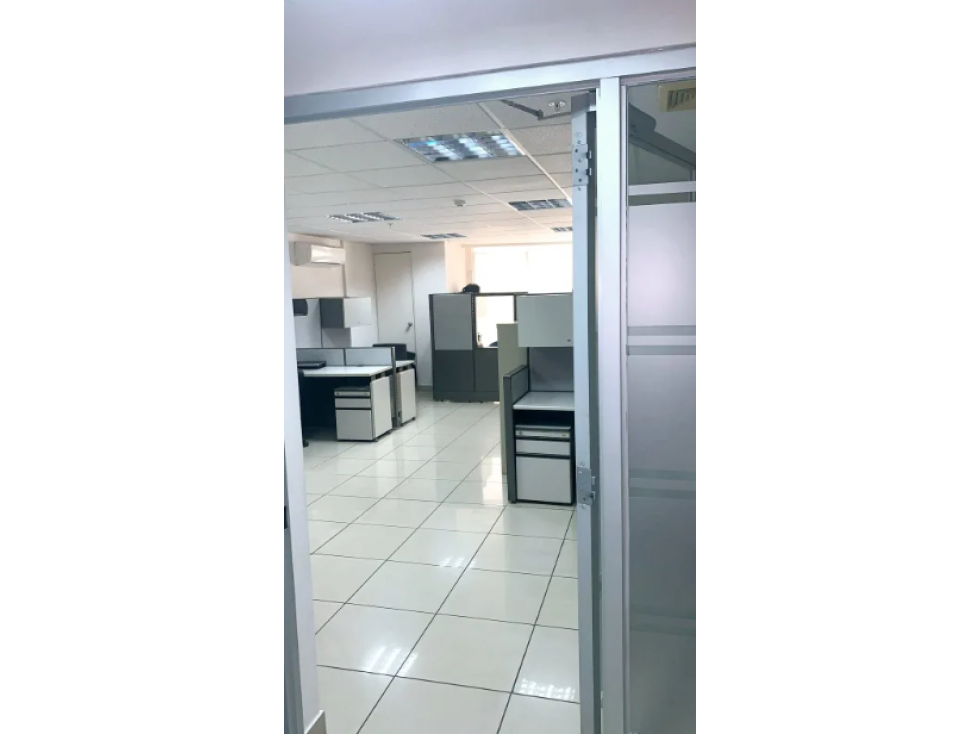 ALQUILER DE OFICINA EN EL CANGREJO — foto 2