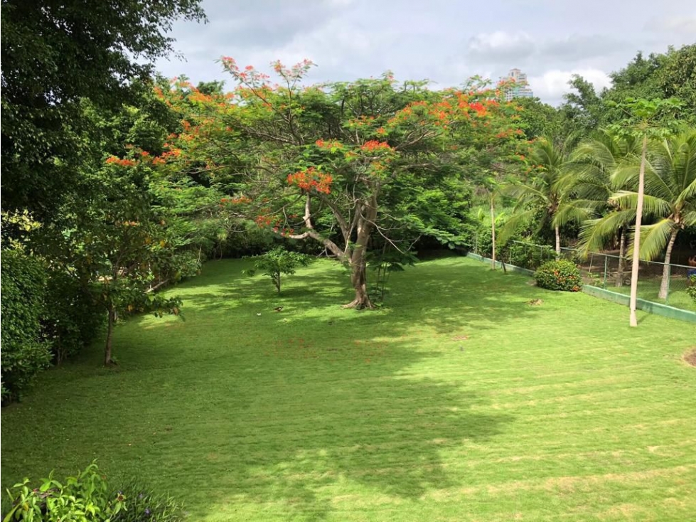Venta de terreno en coronado - 2