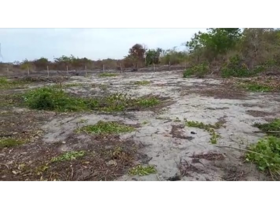 En Venta Terreno Plano de 1,953 m2 en Punta Chame, Panamá Oeste — foto 3