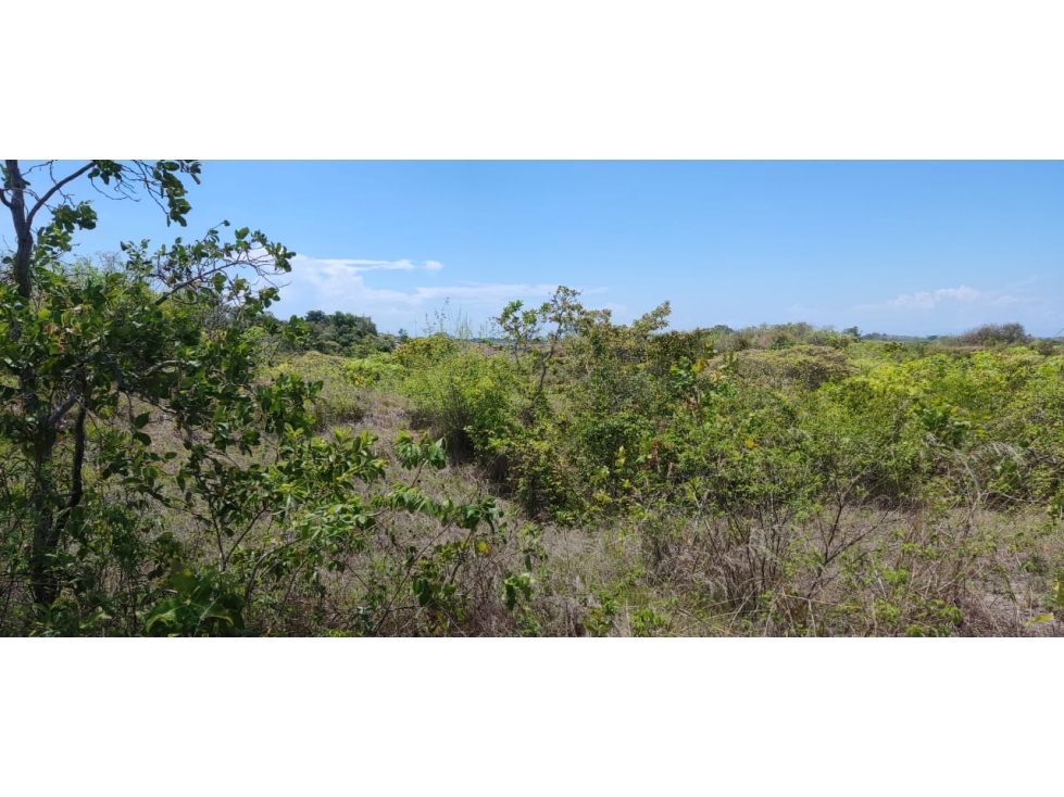 En venta propiedad cerca de la playa de Piedras Gordas, San Carlos — foto 2