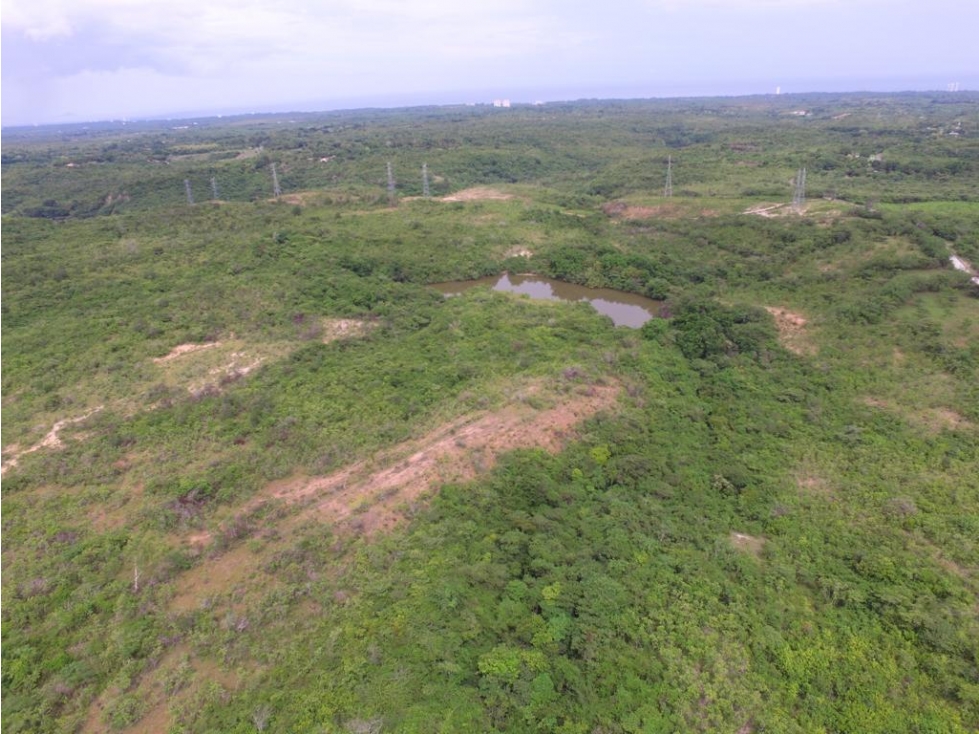 En Venta Finca de 60 Hectáreas en El Espino, San Carlos-Panamá Oeste - 2