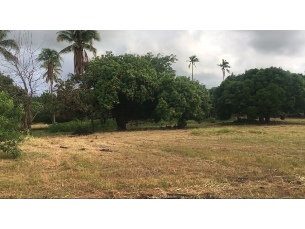 Se vende terreno plano de 27,470 m² en Punta Barco Viejo, San Carlos — foto 2
