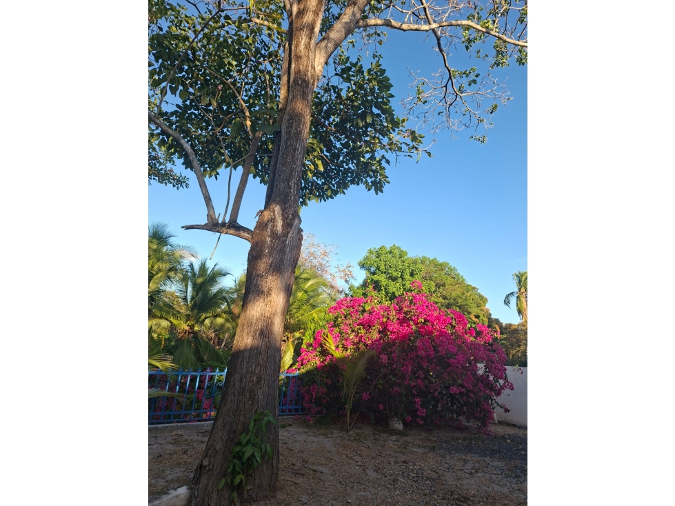 Casa de playa en venta en El Nance, San Carlos, Panamá Oeste — foto 2