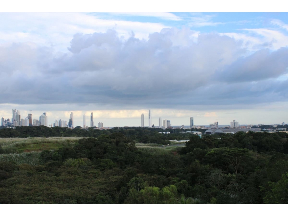 Alquilo espectacular penthouse en albrook - 2