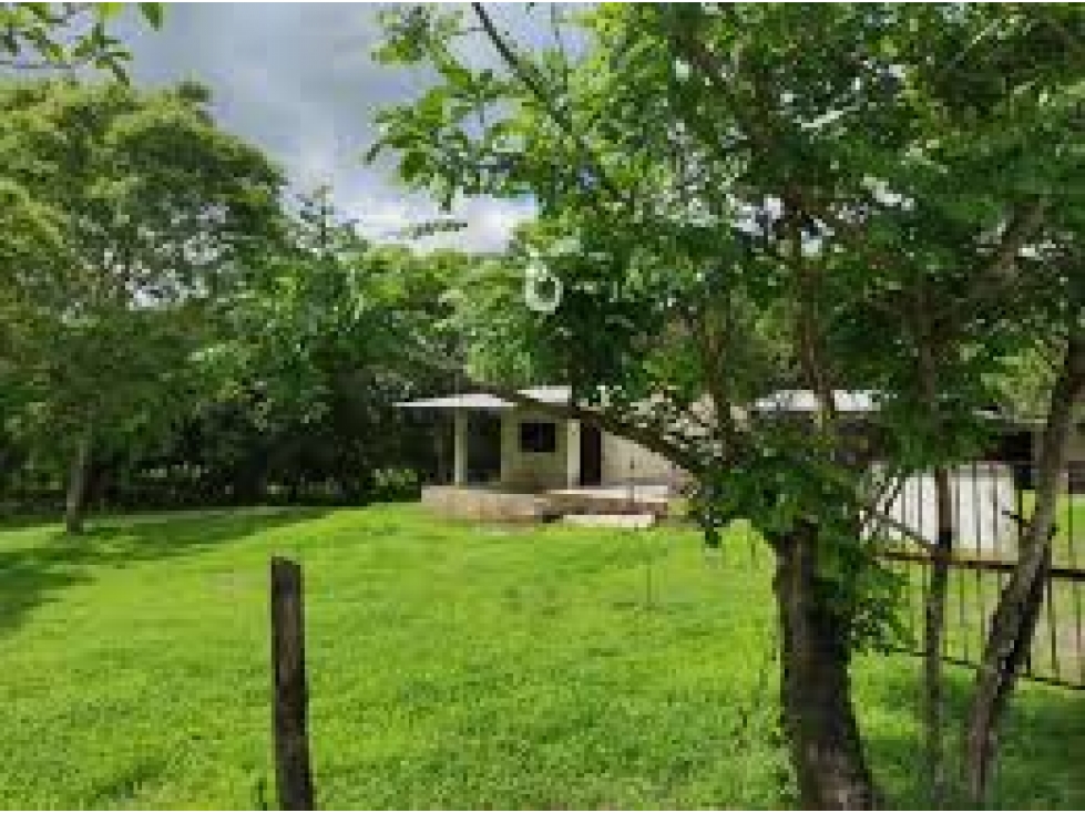 VENDO FINCA CON CASA EN LAS TABLAS $170000 - 3