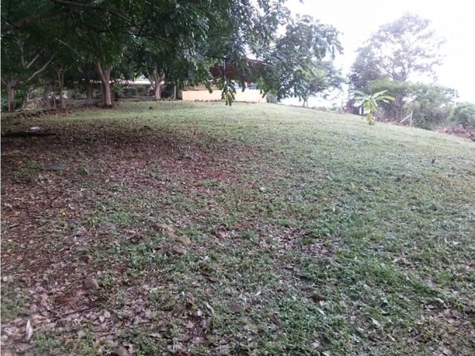 VENDO TERRENO SAJALICES DE CHAME $50.000 NEG. - 3