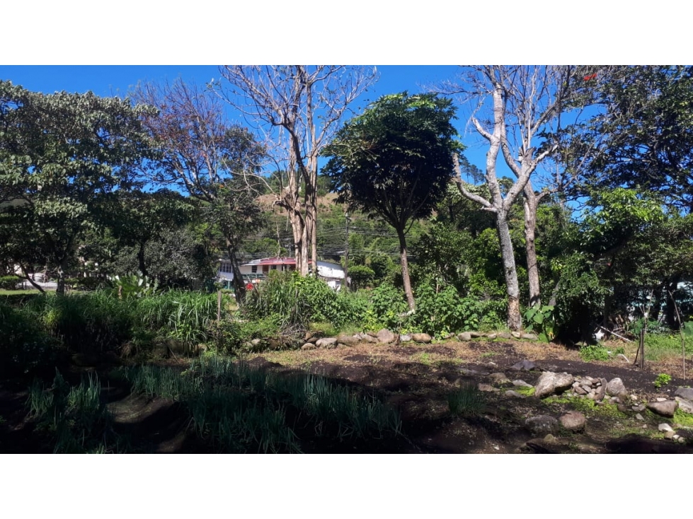 Se vende terreno de 2 hectáreas en bajo boquete $4,000,000 - 3