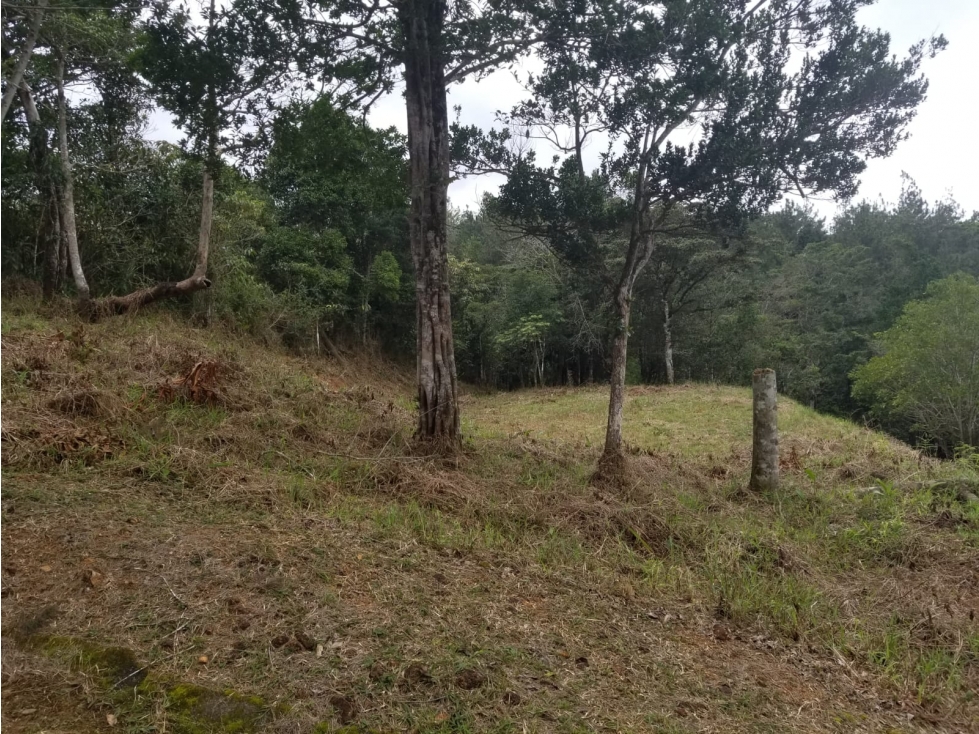 Terreno en Cerro Azul 1298 Mts2 $60,000 - 3