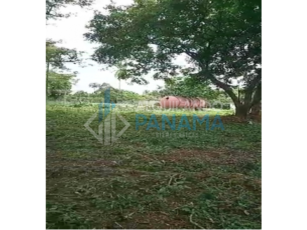 Se Vende Magnifico Terreno 42.000 Mts2 Chitré Herrera $11.000.000.00 - 3