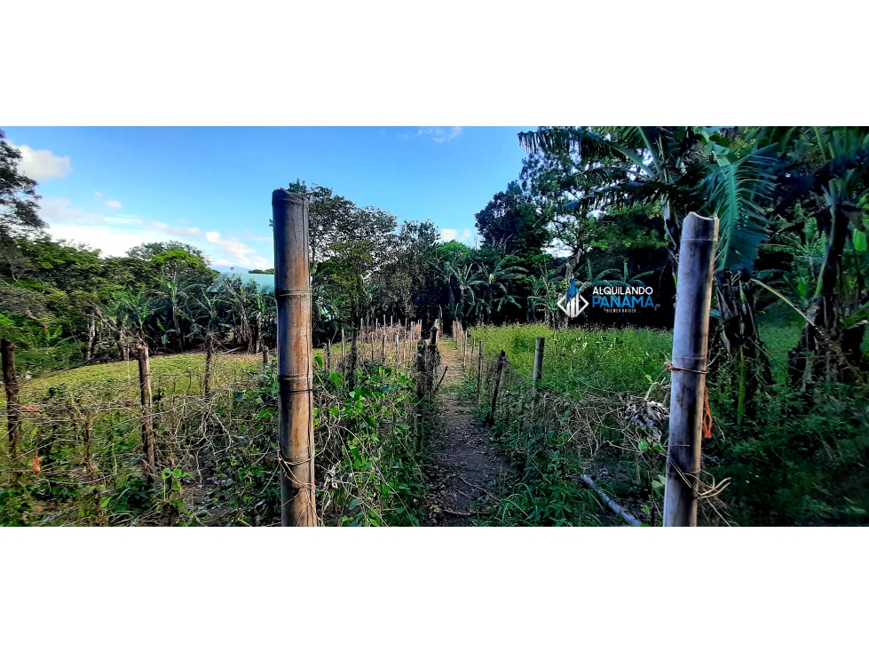 En venta terreno en Palmira |KH - 4