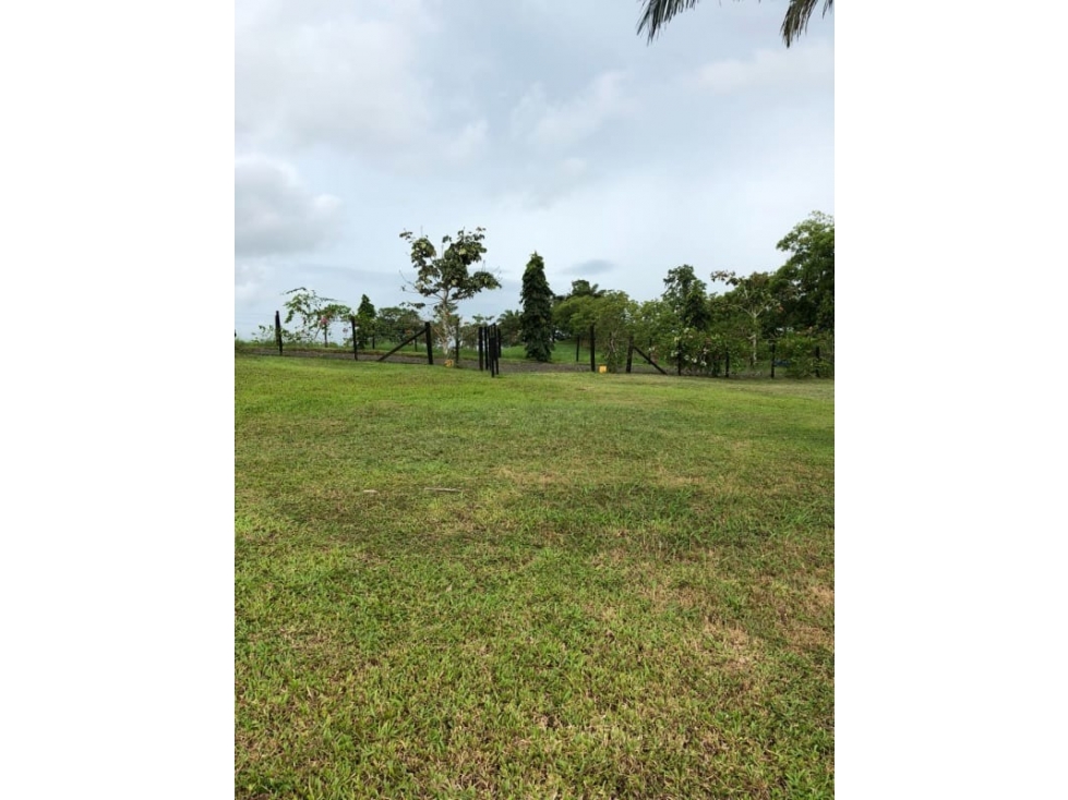 Se Venden Lotes 3,350 Mts La Chorrera Santa Rita USD57,000,oo - 4