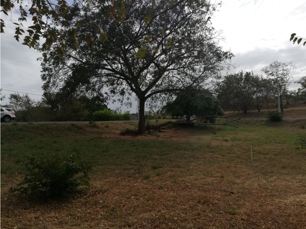 Se Vende Terreno Chame 1.009Mts Frente Gorgona USD$35,000,oo - 1