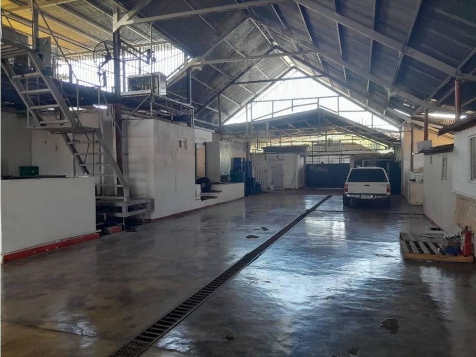 VENTA DE GALERA PARA FABRICA DE HIELO 1,000 MTS - 4