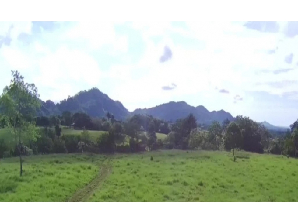 Se Vende Finca Ganadera 73 Ha Chiriquí las lajas a USD$10,000,oo Ha - 3
