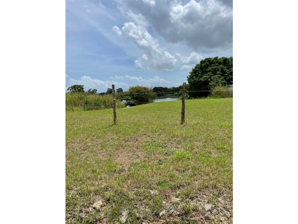 Se Vende Terreno 1,387Mts San carlos USD$100,94 x Mt2 - 6