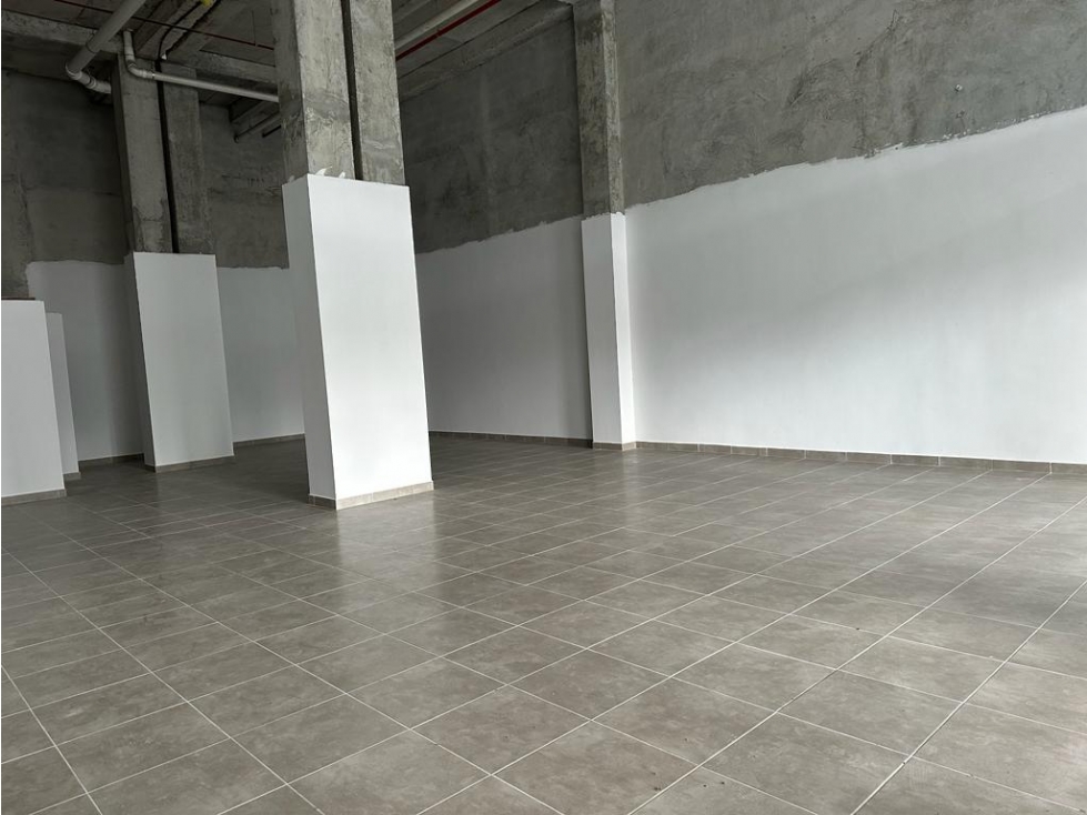 Se Alquila Local 145 Mts Chanis Via Agustín Arango USD$1,950,oo+itbms - 3