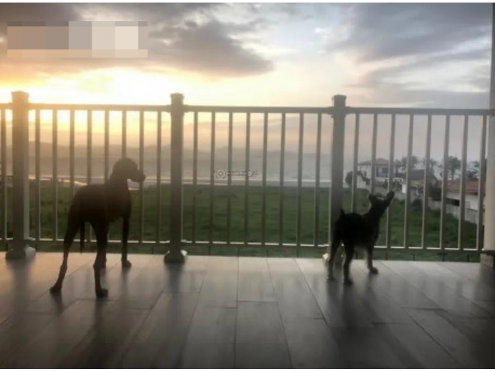 VENDO APARTAMENTO DE PLAYA EN PUNTA CHAME $195000!!! - 5