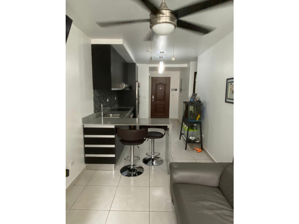 ALQUILER DE HERMOSO APARTAMENTO EN CALIDONIA - 1
