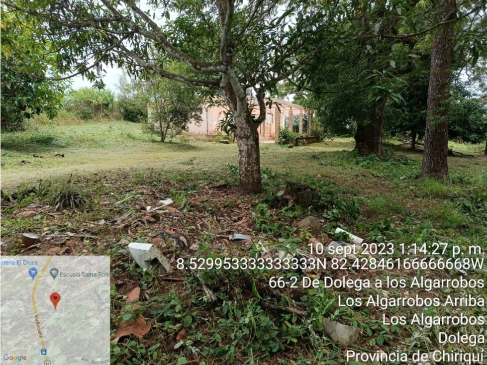 Venta de Terreno en Algarrobos - 3