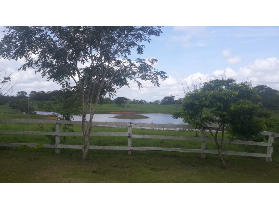 VENDO FINCA DE 18 HECTAREAS EN CERRO CAMA - PANAMA OESTE!!! - 3