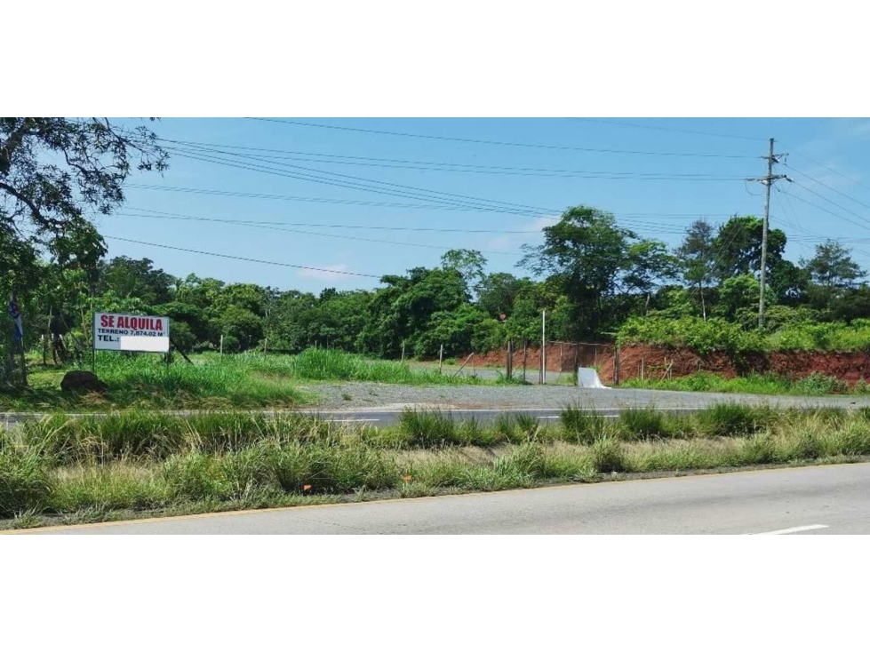 SE ALQUILA LOTE EN LA CHORRERA - 1