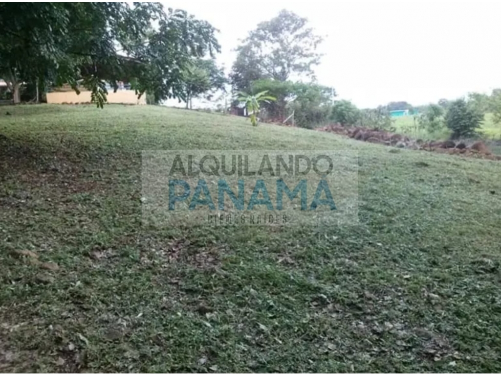 VENTA DE TERRENO EN CHAME