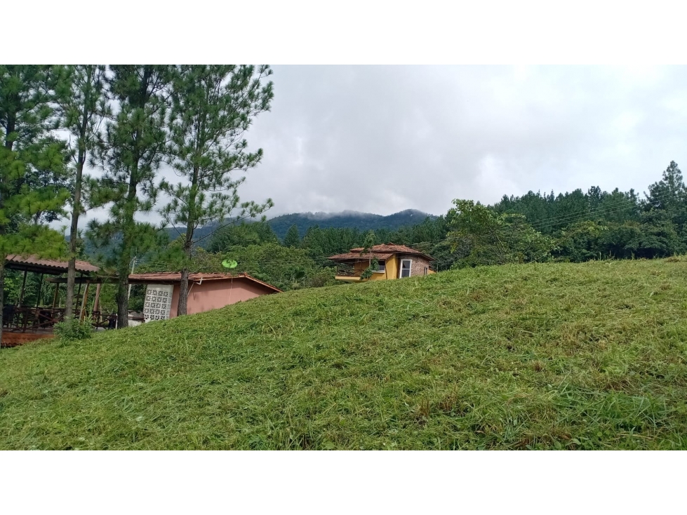 Se Vende Terreno en Altos del Maria — foto 3