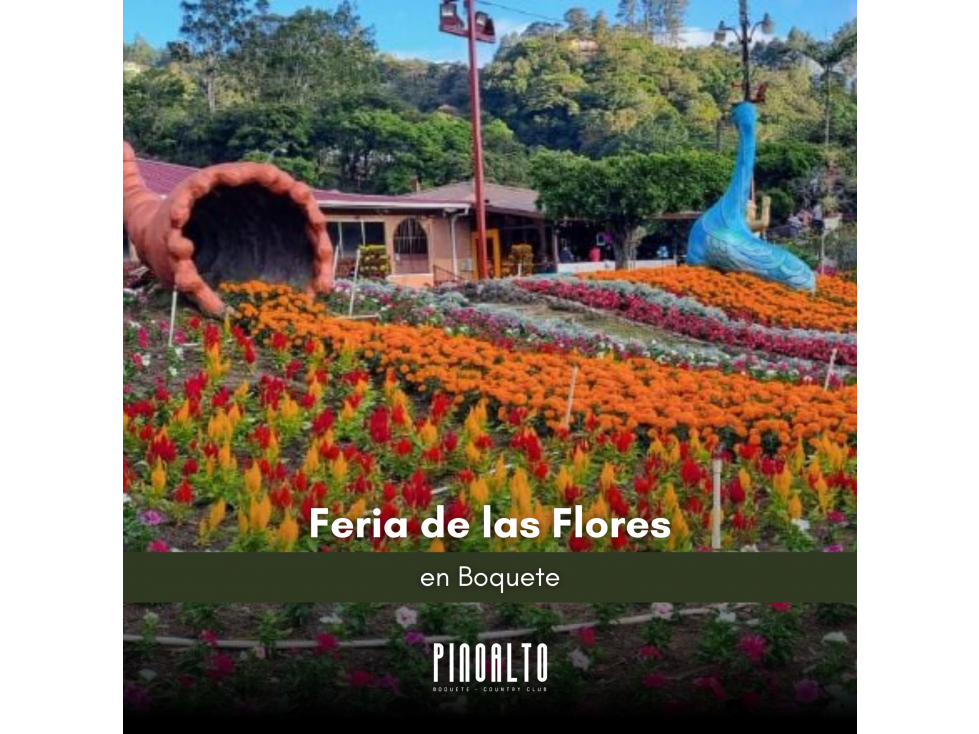VENTA DE APARTAMENTOS EN CHIRIQUI - 3