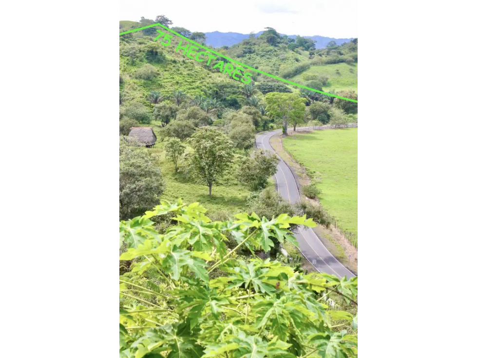 Se vende terreno en Tonosí — foto 3