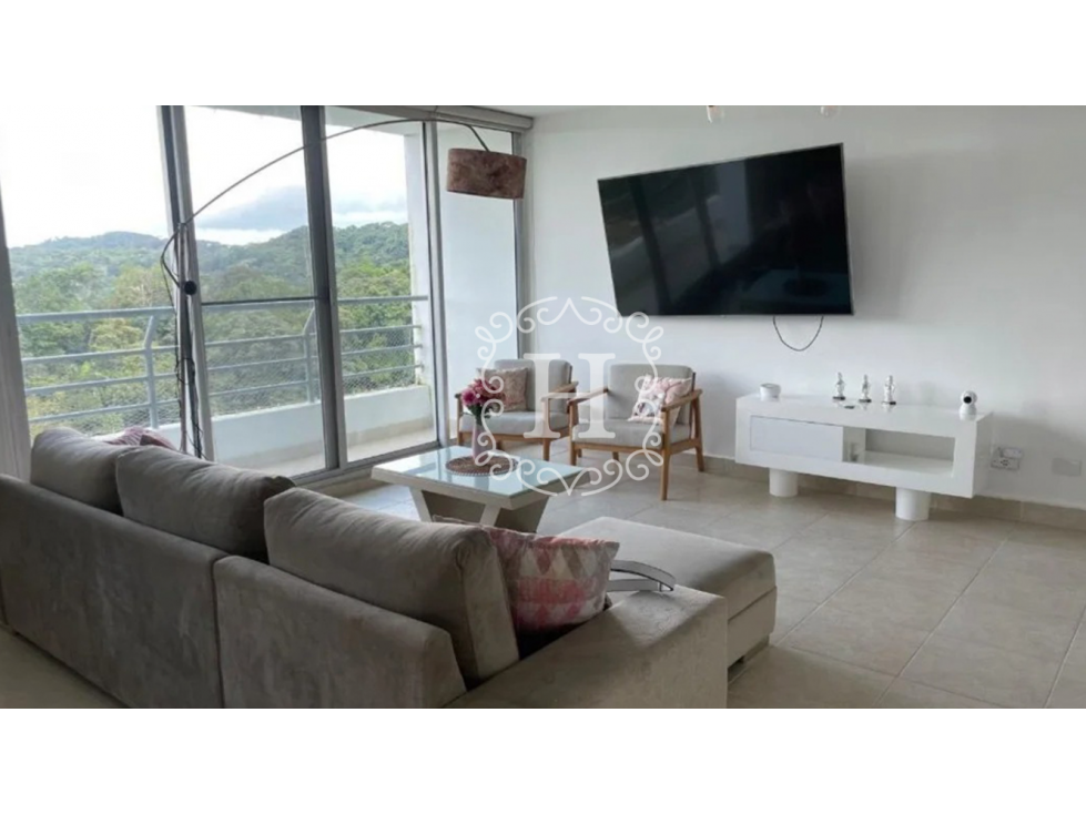 ALQUILER DE APARTAMENTO EN CLAYTON - 2