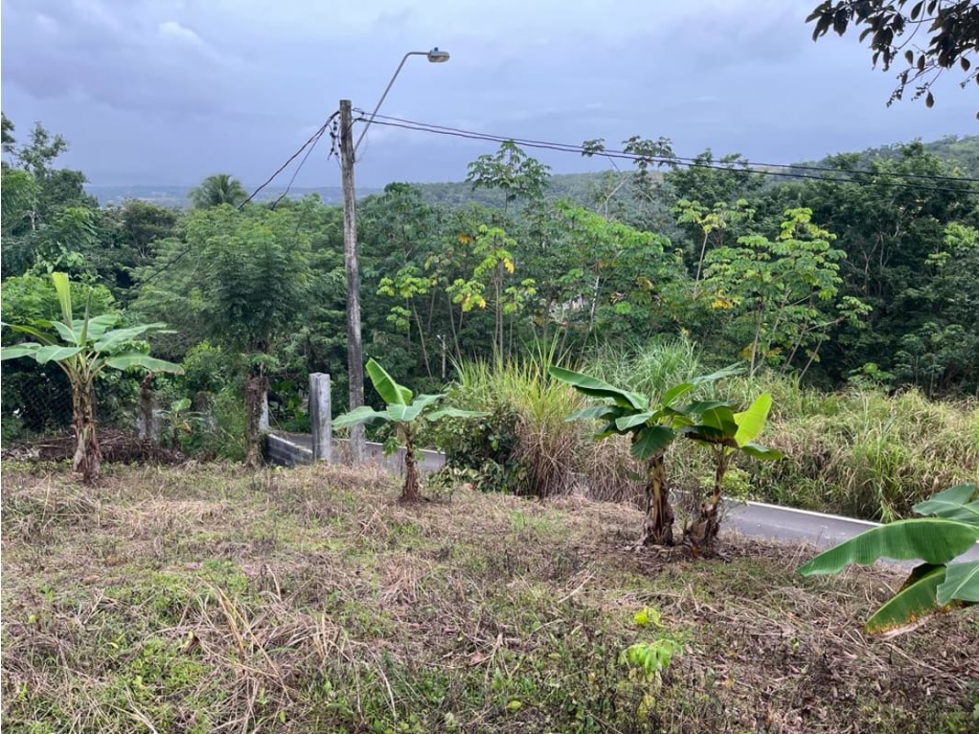 Se Vende Terreno en Cerro Azul - 1