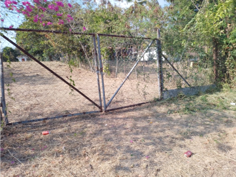 Se Vende Terreno en Coronado - 4