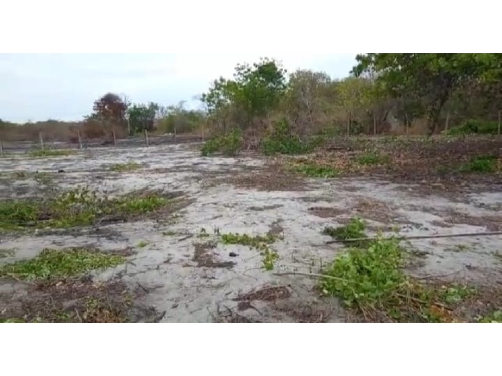 En Venta Terreno Plano de 1,953 m2 en Punta Chame, Panamá Oeste — foto 4