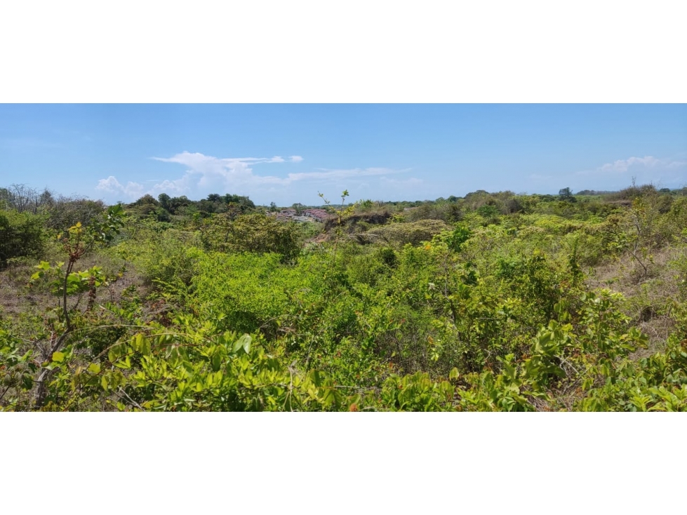 En venta propiedad cerca de la playa de Piedras Gordas, San Carlos — foto 3