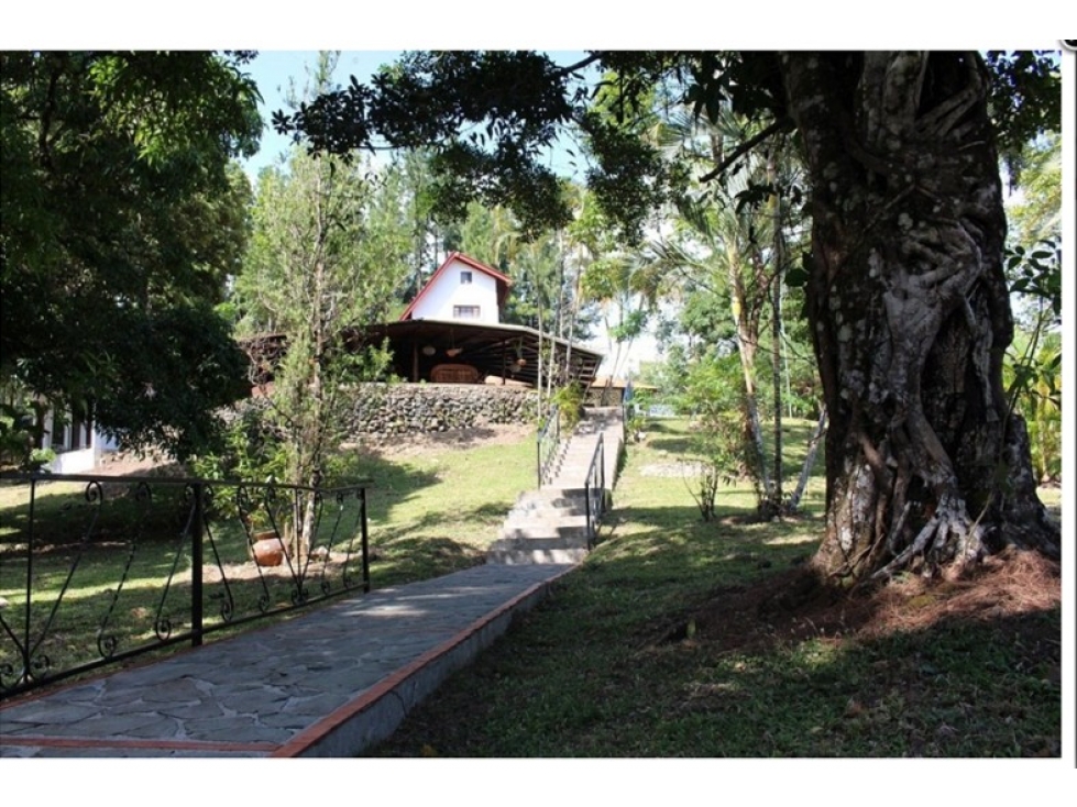 En alquiler- Casa y Cabañas en la Laguna de San Carlos - 2