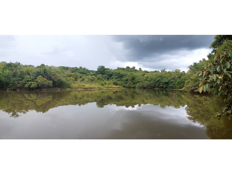 En Venta Finca de 60 Hectáreas en El Espino, San Carlos-Panamá Oeste - 3