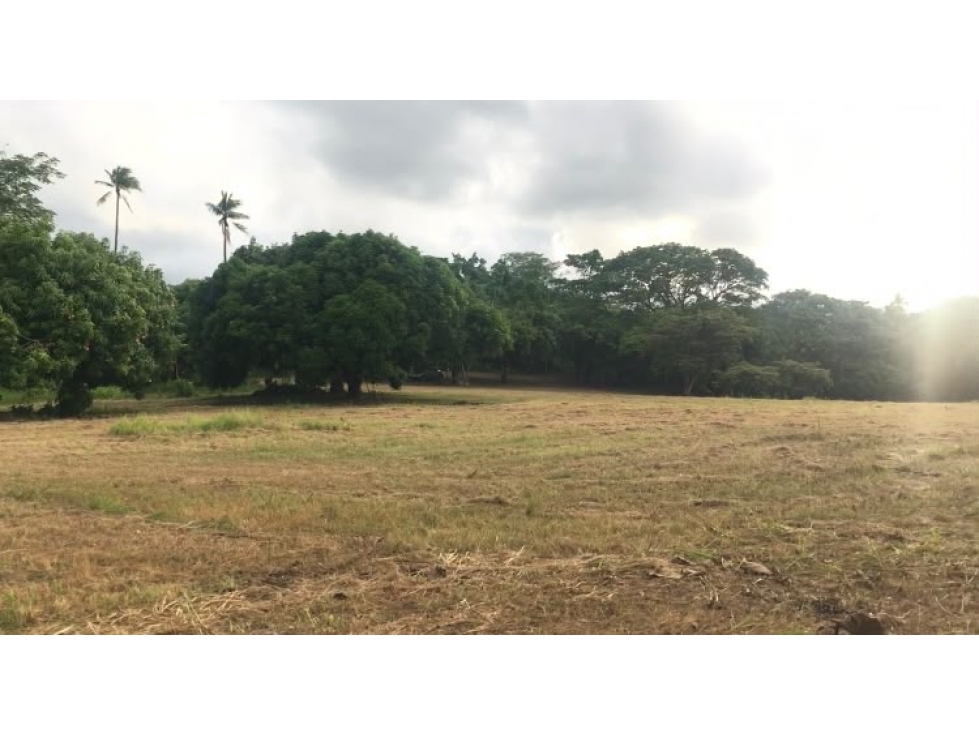 Se vende terreno plano de 27,470 m² en Punta Barco Viejo, San Carlos — foto 3