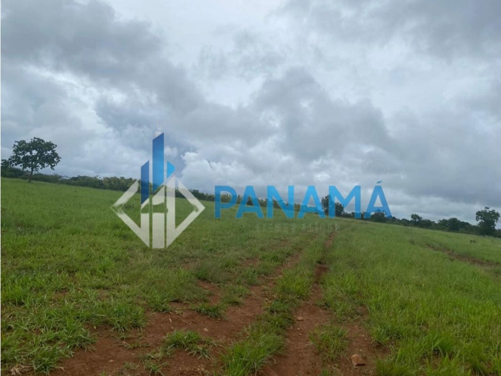 Se Vende Hermosa Finca Ganadera 96 Ha San Lorenzo USD$748,800,00 — foto 2