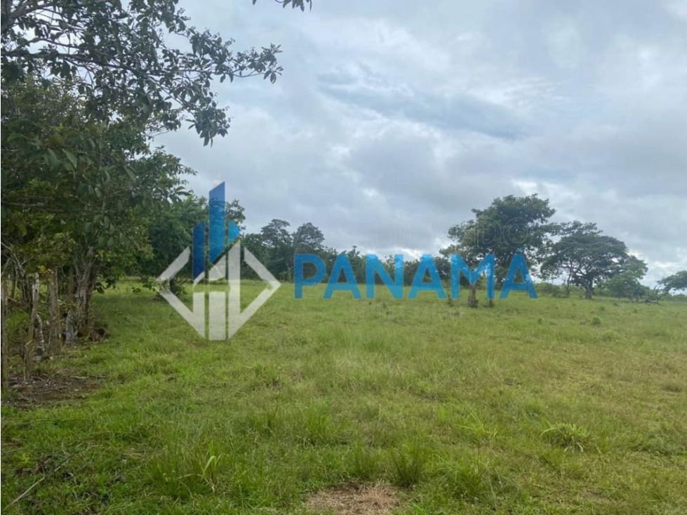 Se Vende Hermosa Finca Ganadera 96 Ha San Lorenzo USD$748,800,00 — foto 5