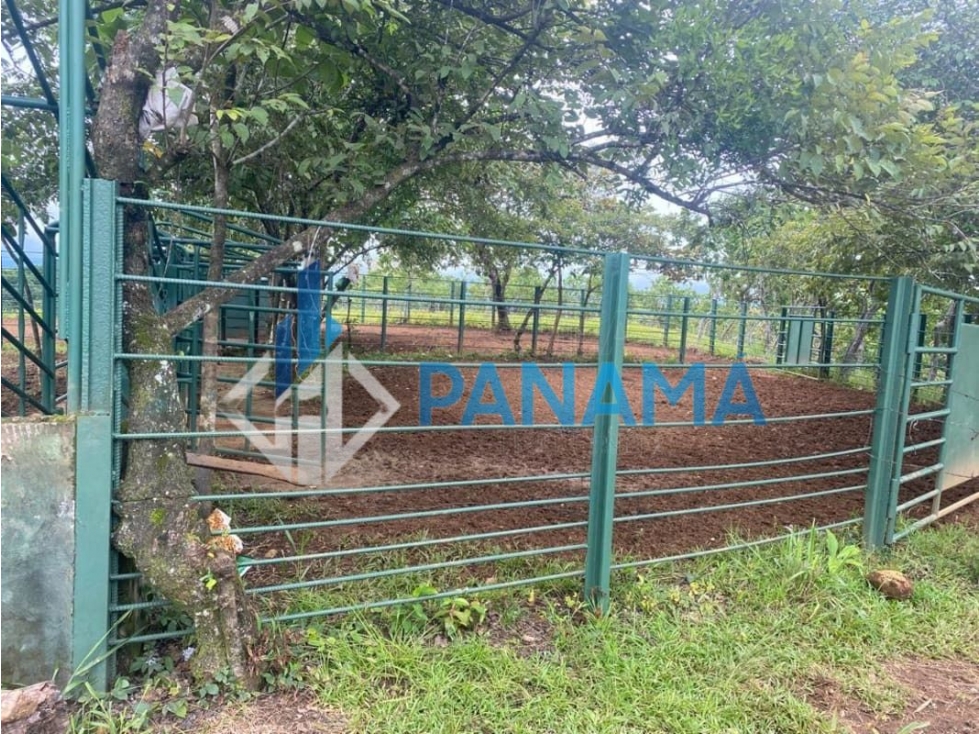 Se Vende Hermosa Finca Ganadera 96 Ha San Lorenzo USD$748,800,00 — foto 3
