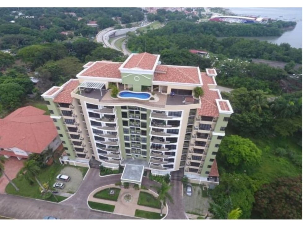 se alquila o vende apto en altos de amador — foto 5