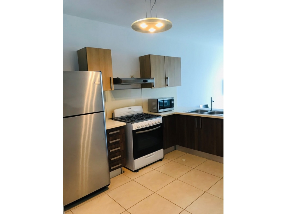 Alquilo Apartamento Punta Pacifica 1300$ Amoblado — foto 3