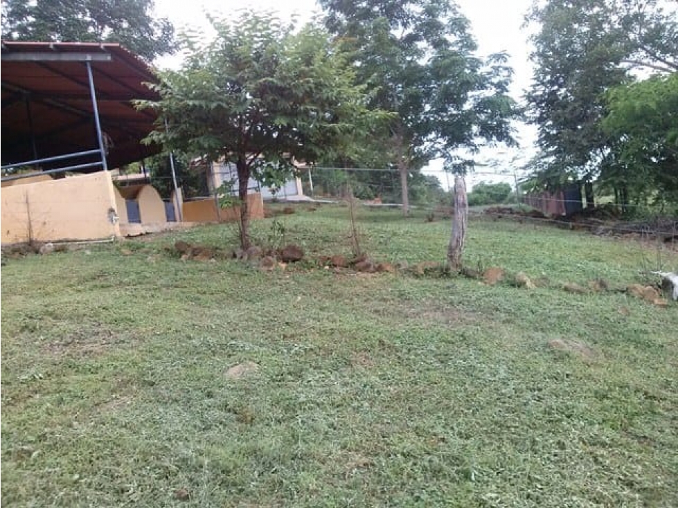 VENDO TERRENO SAJALICES DE CHAME $50.000 NEG. - 4