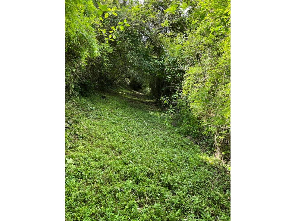 Terreno de 30 Hectáreas a la Venta en El Valle de Antón por $1,000,000 - 4