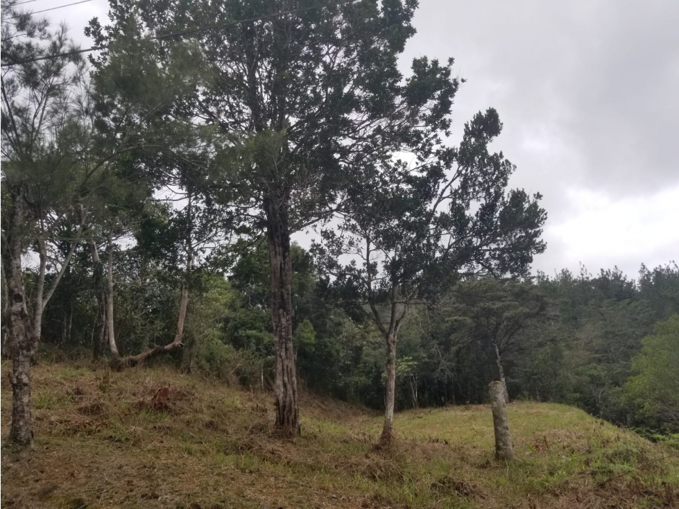 Terreno en Cerro Azul 1298 Mts2 $60,000 - 4
