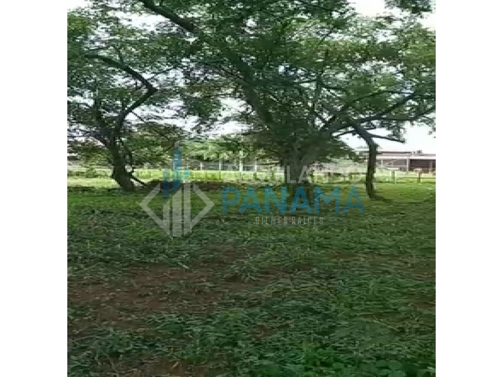 Se Vende Magnifico Terreno 42.000 Mts2 Chitré Herrera $11.000.000.00 - 4