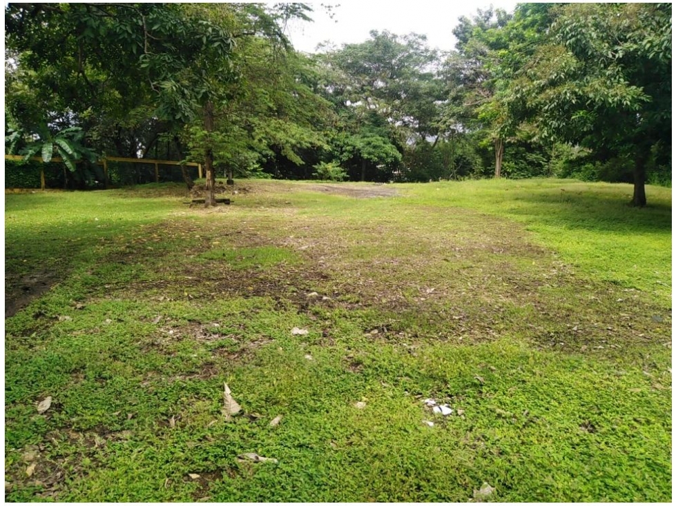 SE VENDE TERRENO EN PUEBLO NUEVO 500 METROS - 5
