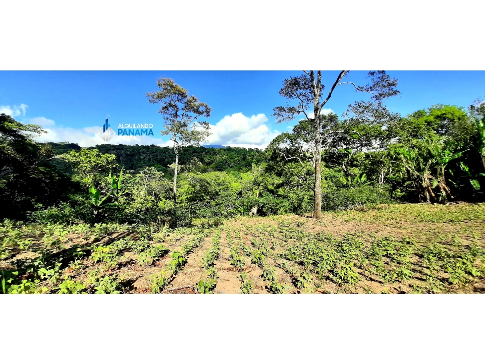En venta terreno en Palmira |KH - 5