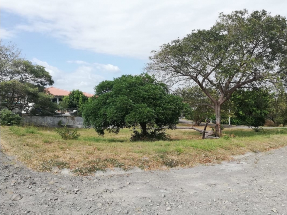 Se Vende Terreno Chame 1.009Mts Frente Gorgona USD$35,000,oo - 4
